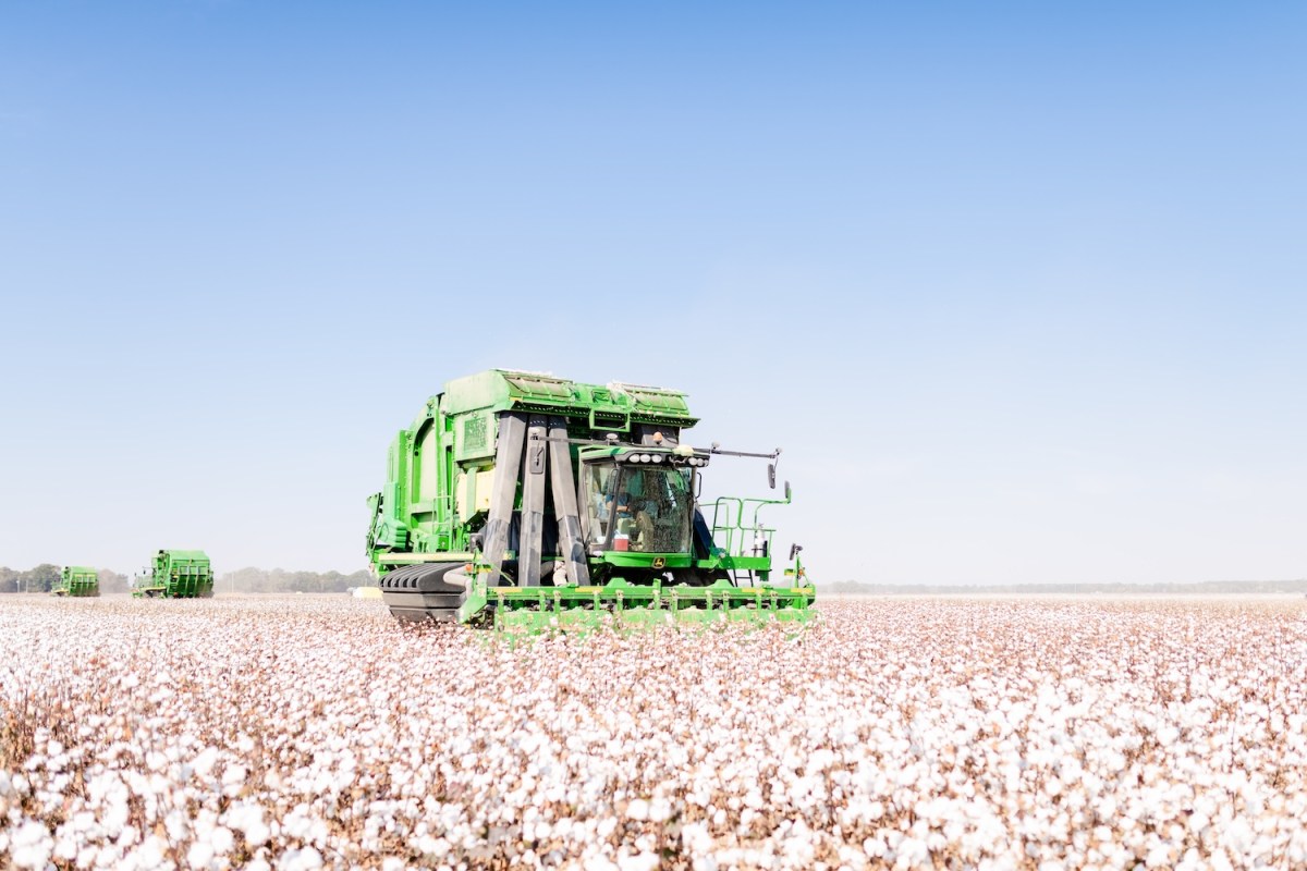When Sustainability Matters, This Is What Farmers Bring to Fashion’s Table